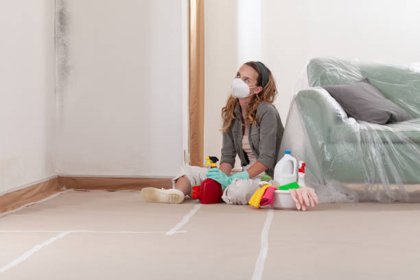 Reliable Black Mold Removal contractor in Cofield, NC by WQB Mold Removal